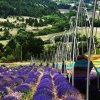 ColorsBridgeCultures - French Country Module